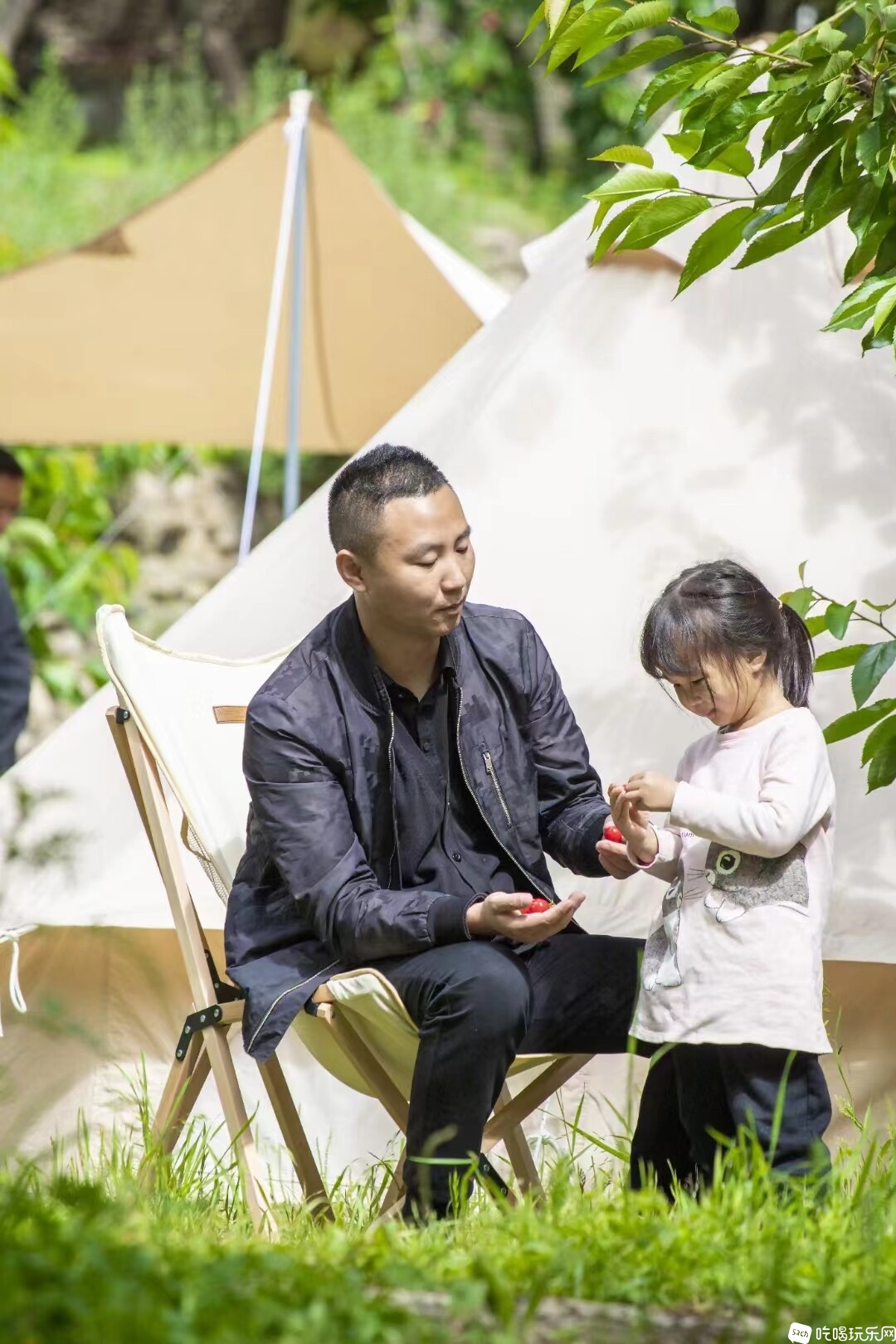 实现车厘子自由，周末组团去我家摘车厘子啊