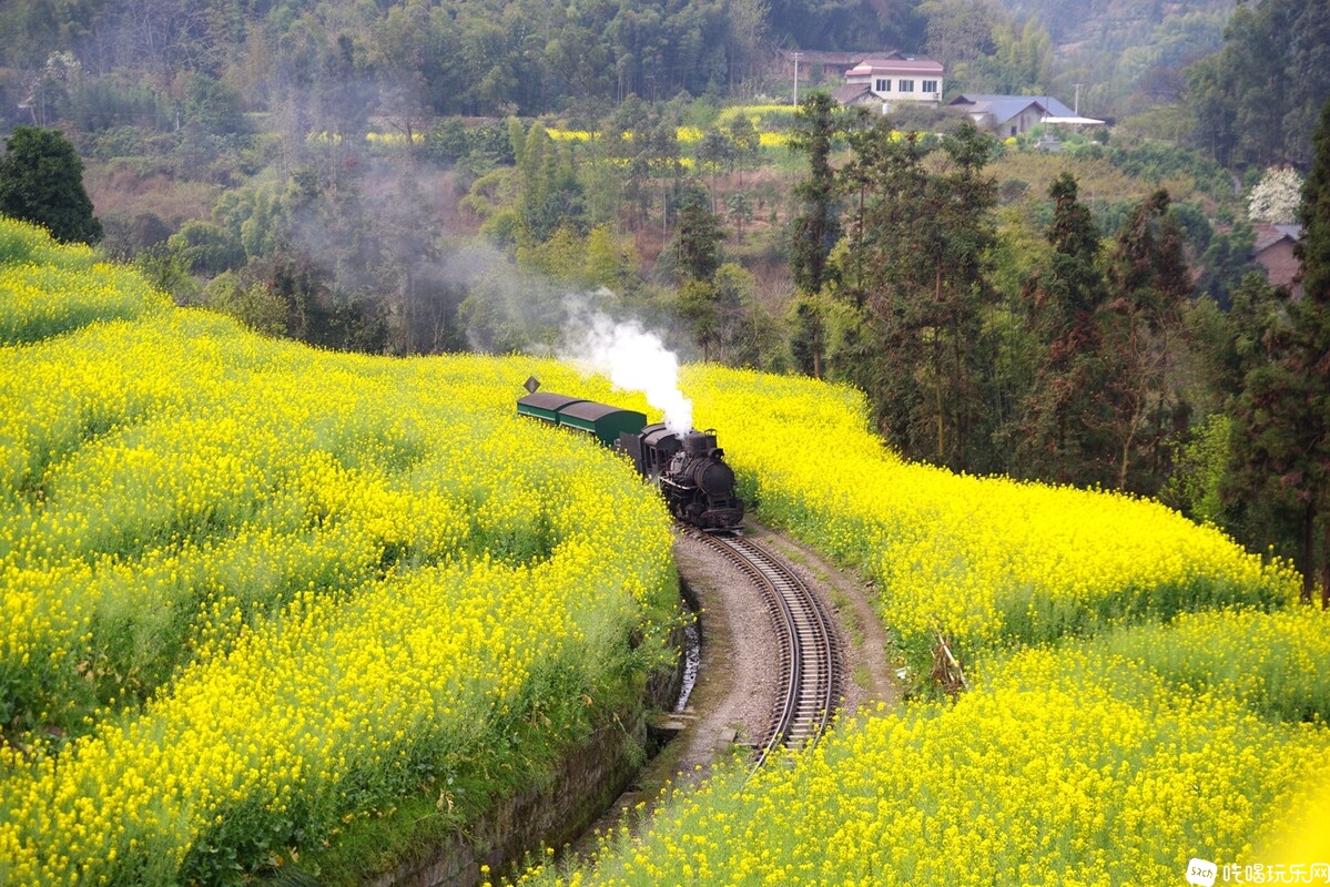 IMGP4945_副本.jpg