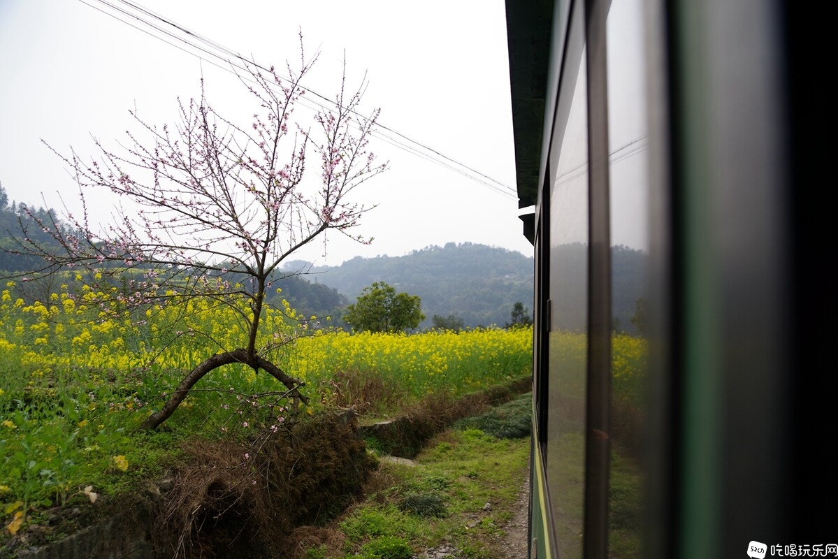 IMGP4904_副本.jpg