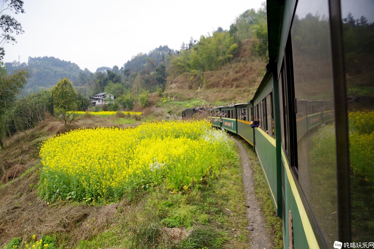 IMGP4908_副本.jpg