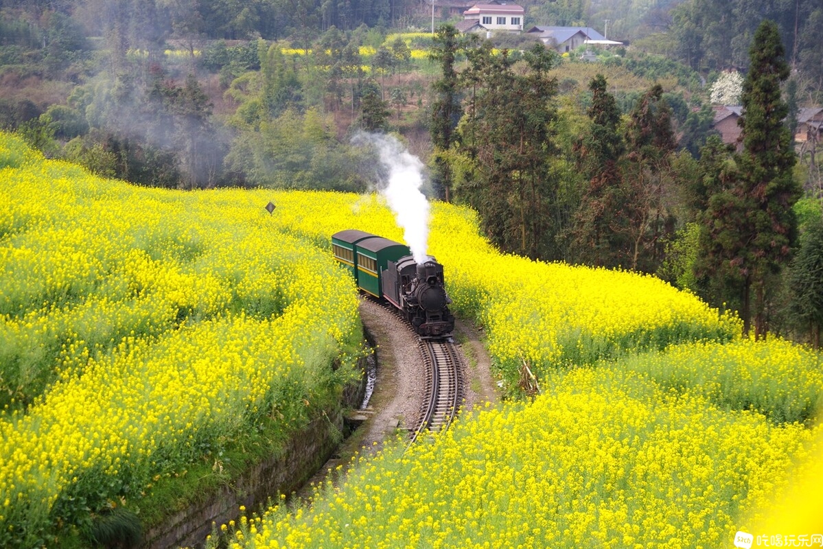 IMGP4946_副本.jpg