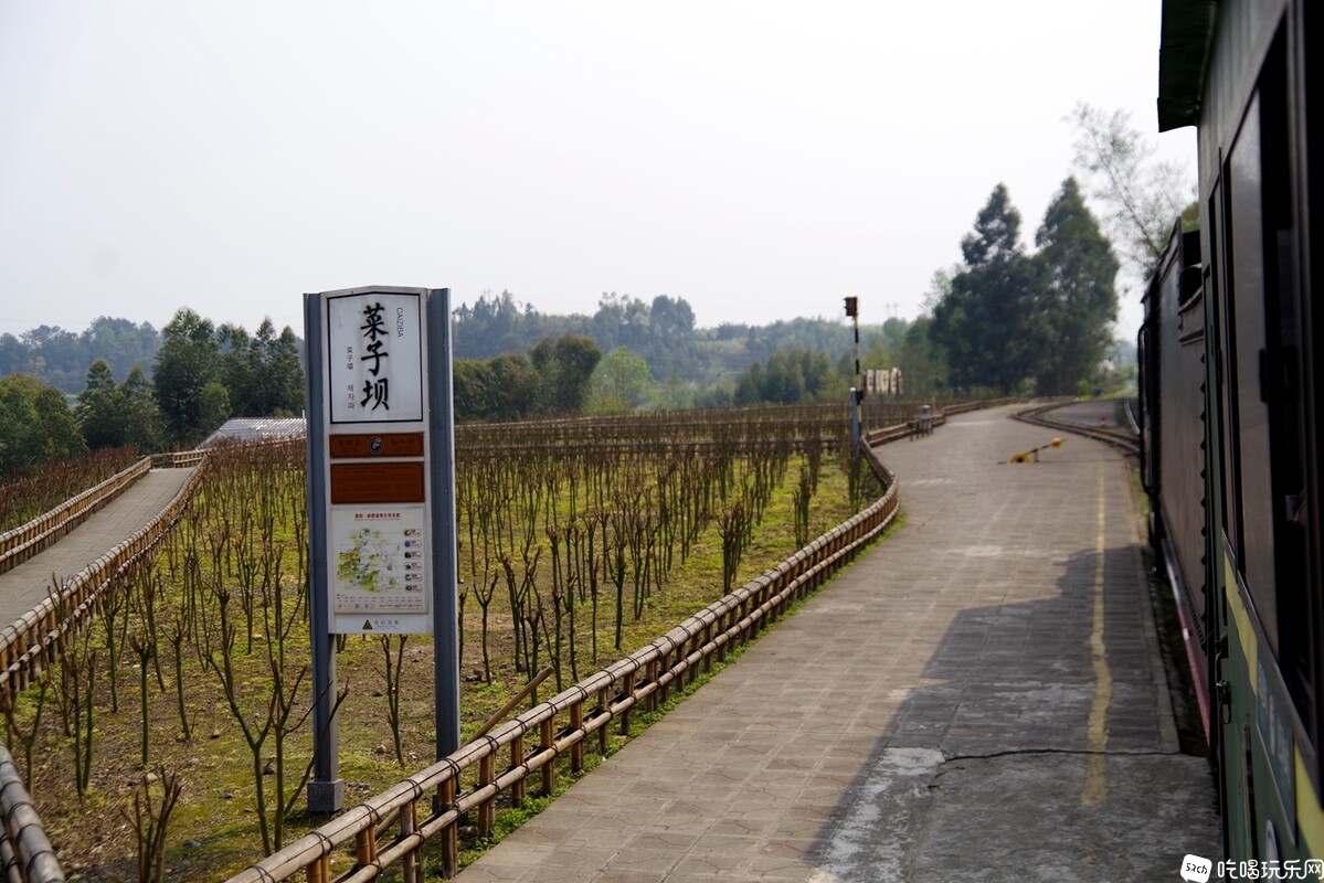 IMGP4978_副本.jpg