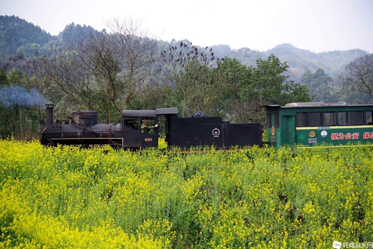 IMGP4992_副本.jpg