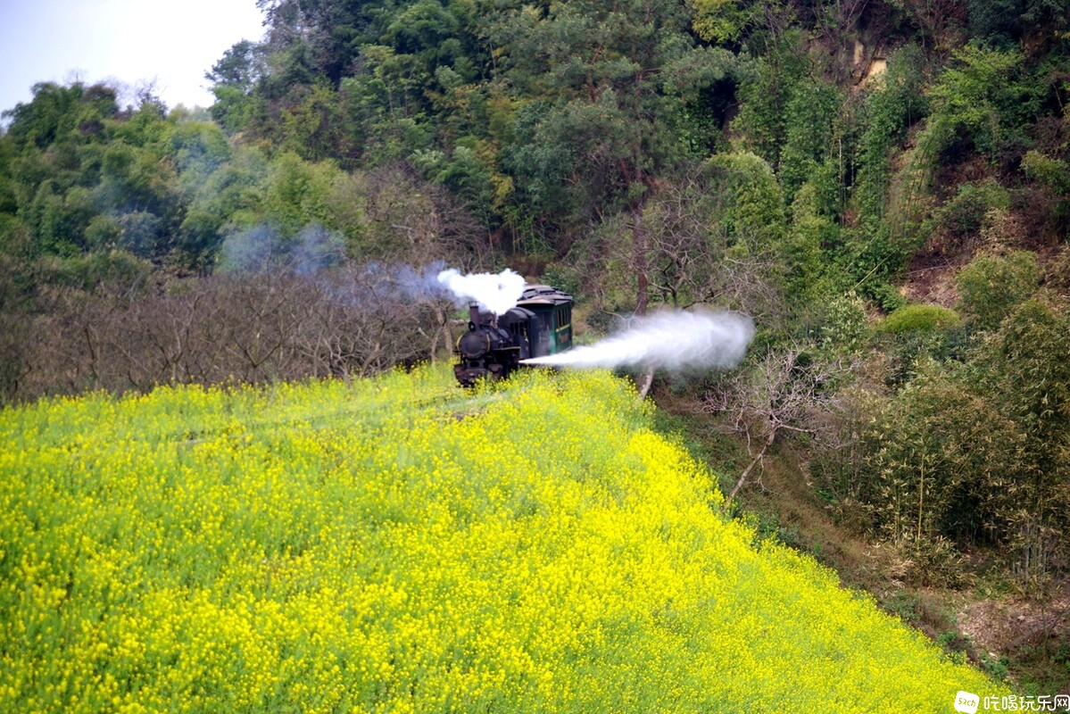 IMGP5000_副本.jpg