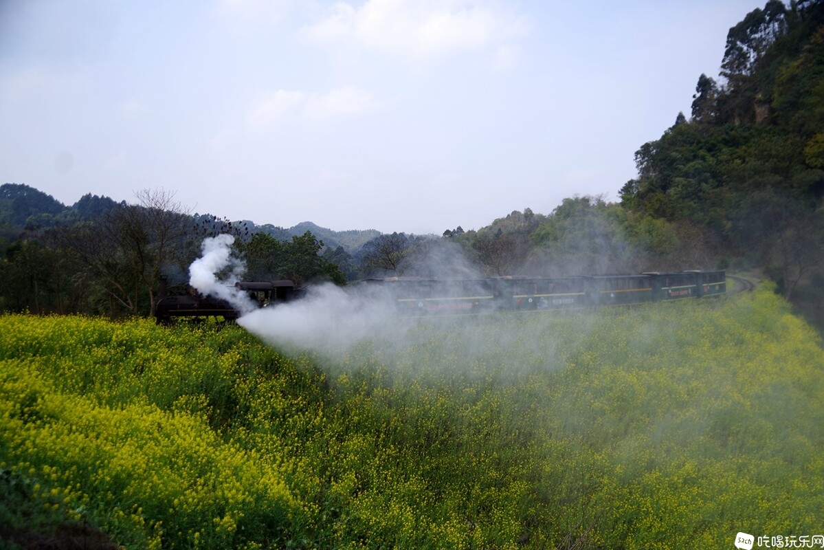 IMGP5021_副本.jpg