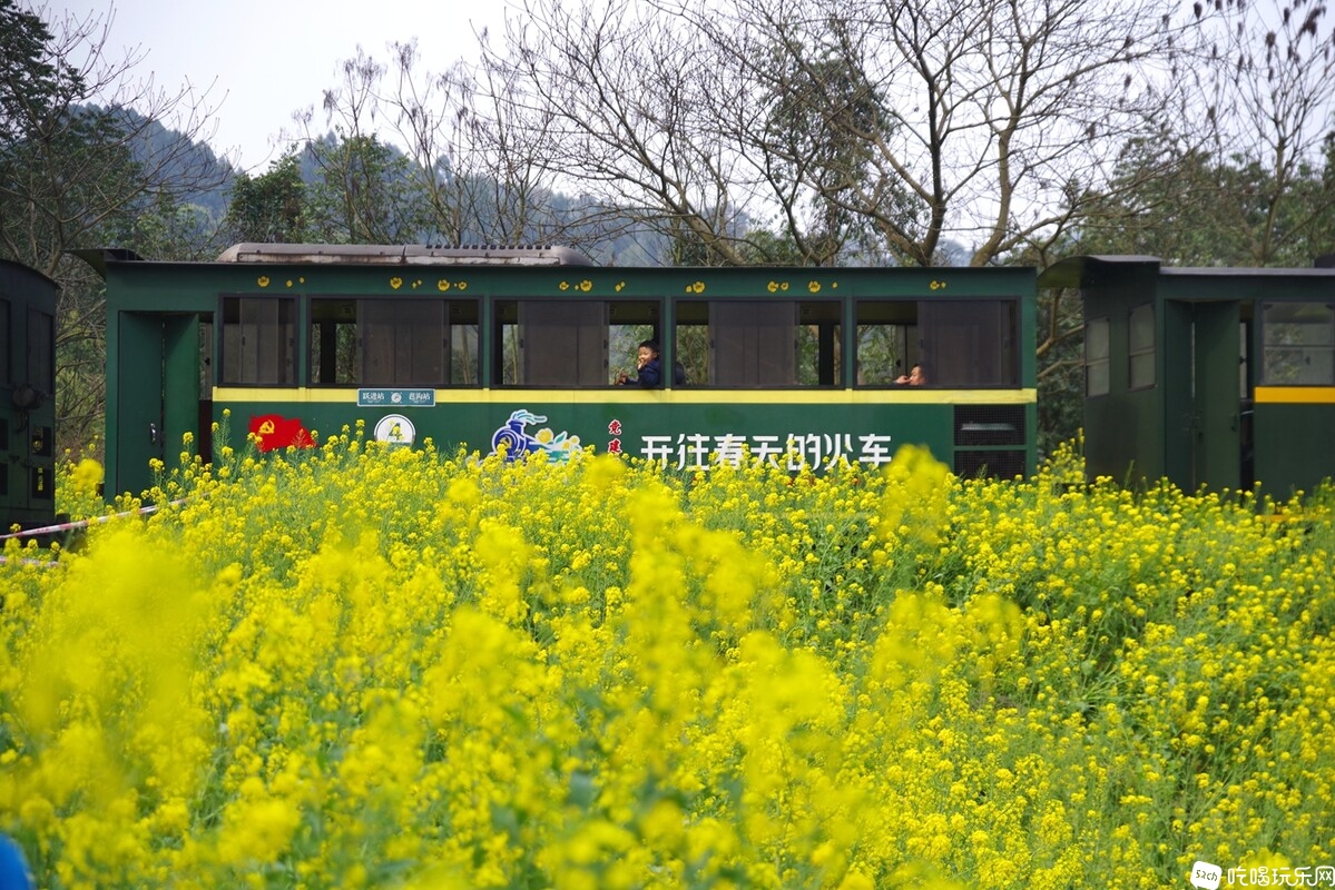 IMGP5026_副本.jpg