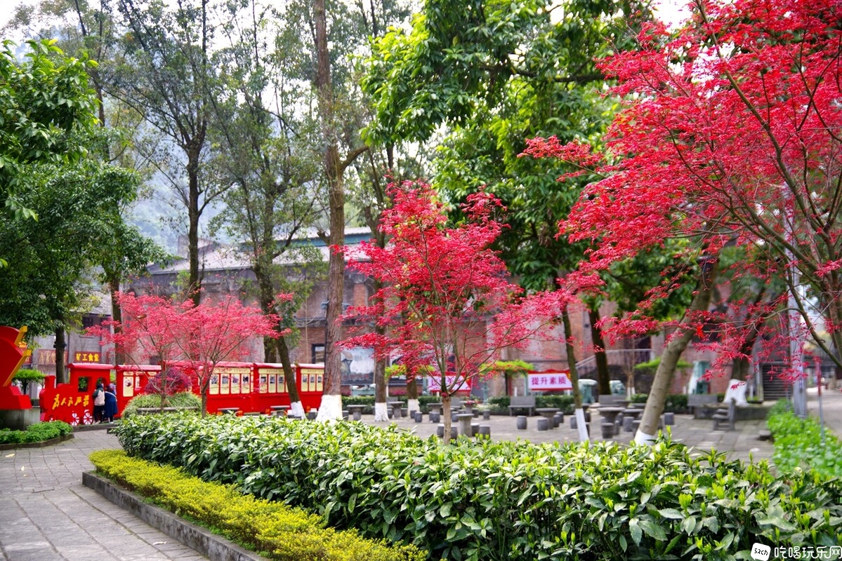IMGP5068_副本.jpg
